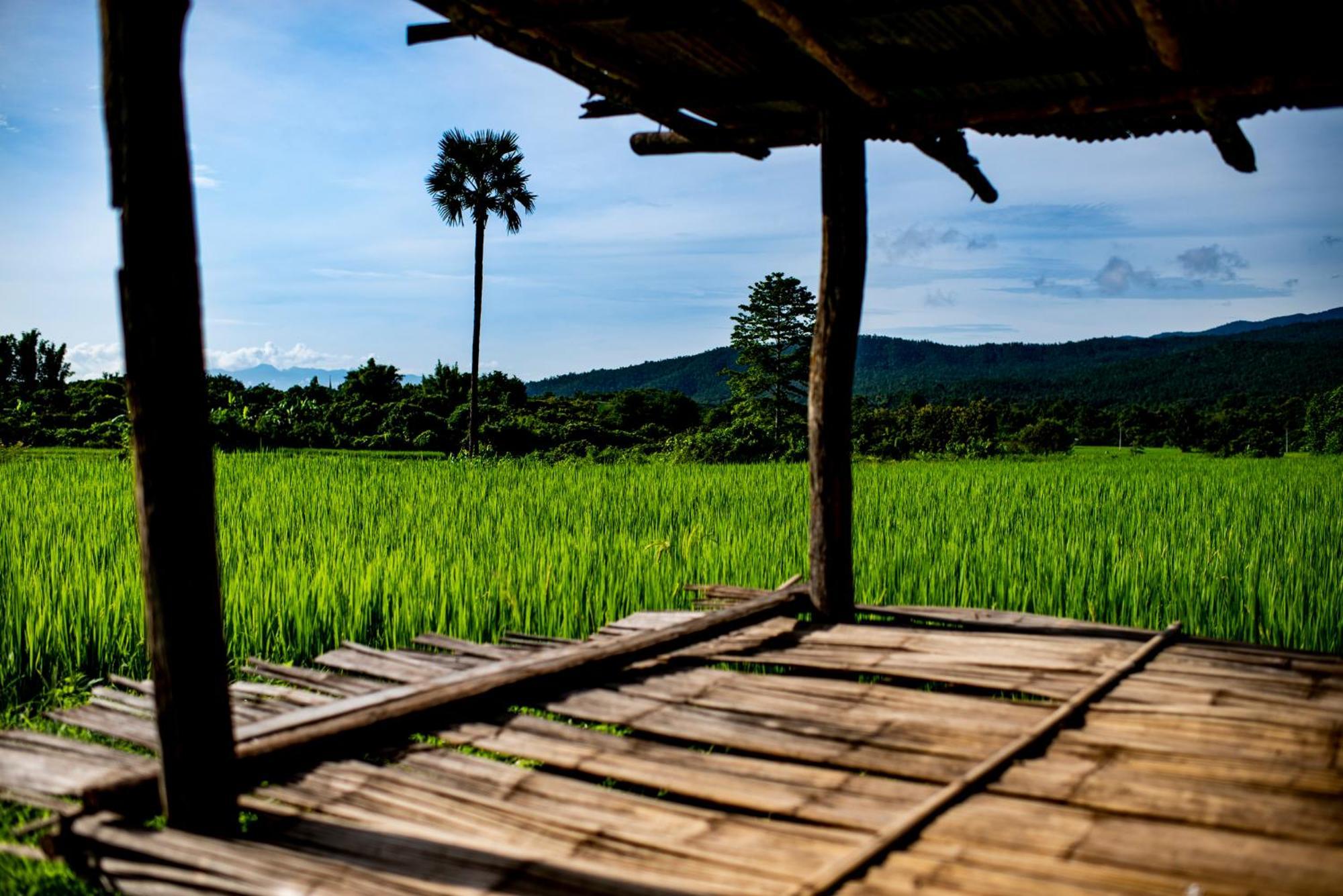 Suan Sook Homestay Csomthong Kültér fotó