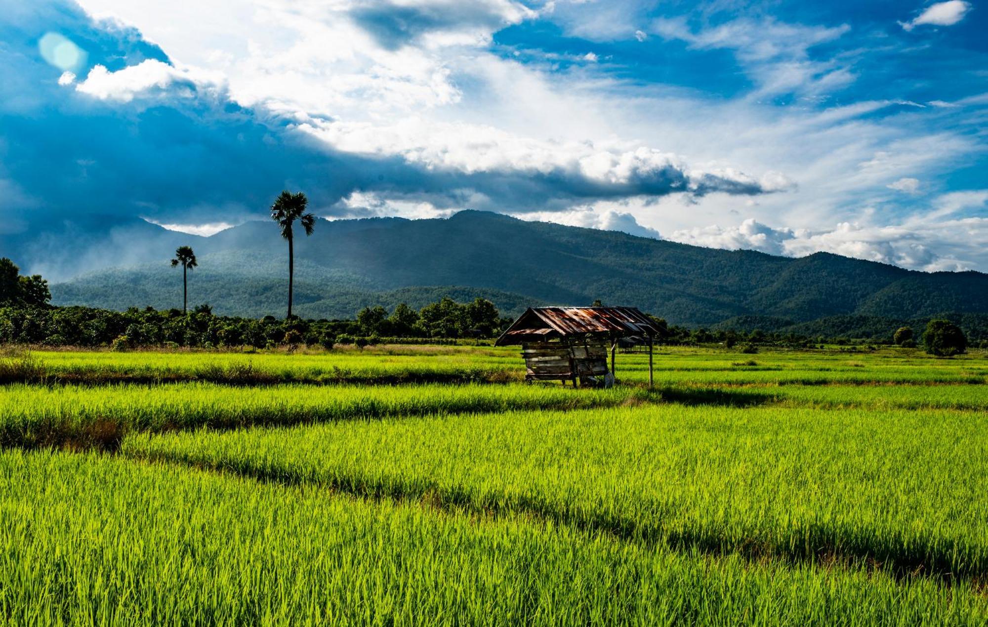 Suan Sook Homestay Csomthong Kültér fotó