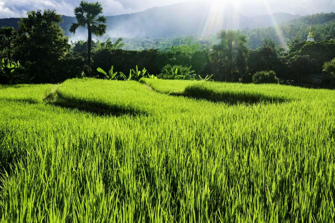 Suan Sook Homestay Csomthong Kültér fotó