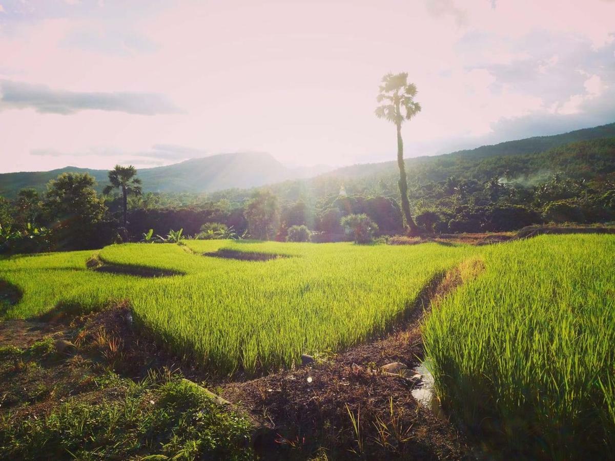 Suan Sook Homestay Csomthong Kültér fotó